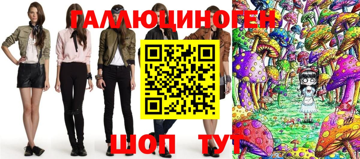 Галлюциногенные грибы Psilocybine cubensis Россия
