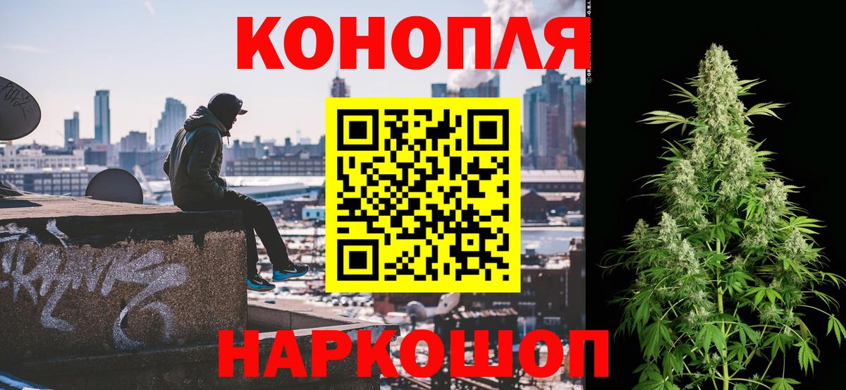 Каннабис White Widow Россия